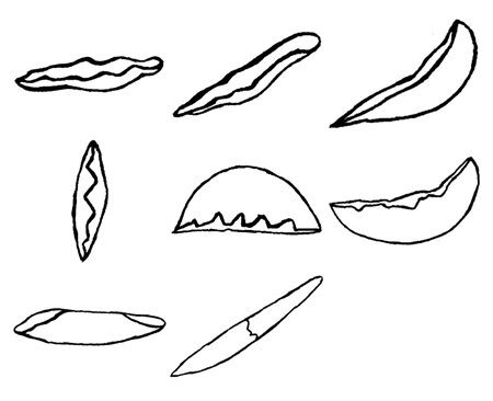 당신의 성적 취향 테스트