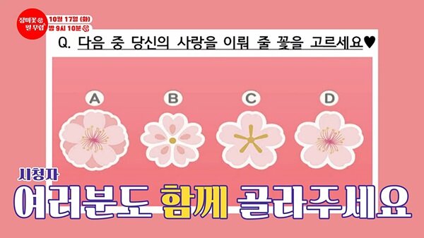 트롯맨 장필무 꽃잎으로 알아보는 연애 유형 테스트