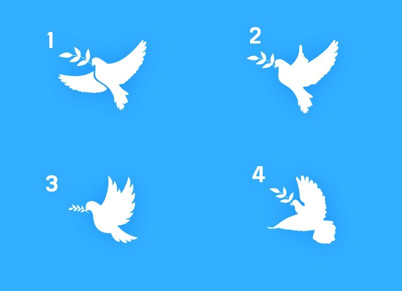 비둘기 실루엣으로 선호하는 애정 표현 심리 테스트