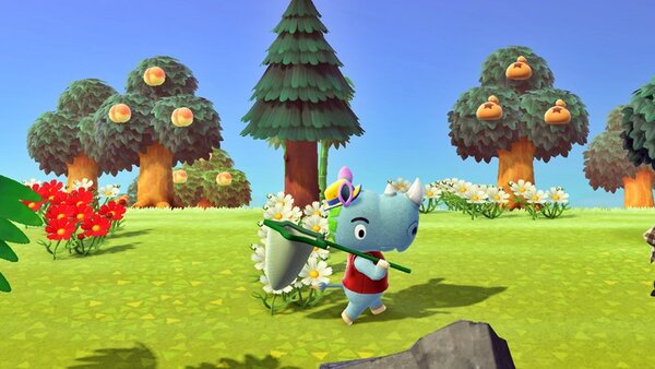 동물의 숲 곤충 이름 맞추기 (퀴즈)