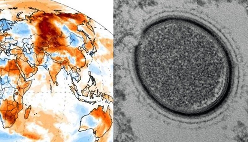 종합 상식  퀴즈