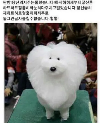 ㅎ 모양처럼 미용한 강아지 사진