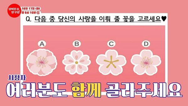 트롯맨 장필무 꽃잎으로 알아보는 연애 유형 테스트