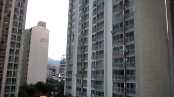 능지 테스트 (눈치 버전)