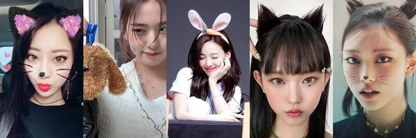 고양이상 강아지상 분석기 😽