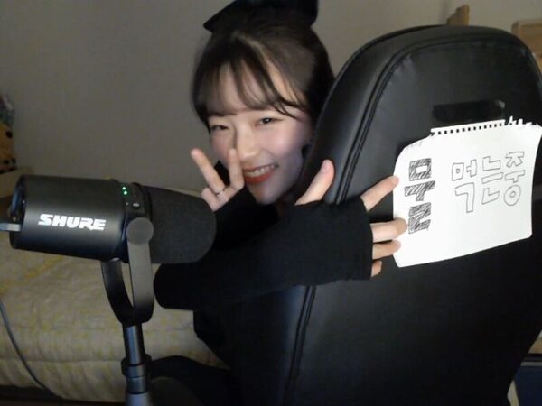 치지직 여자 스트리머 이름 맞추기