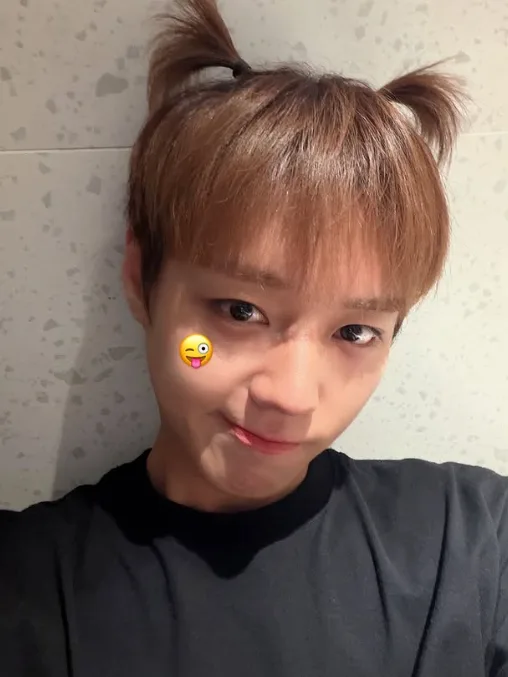남배우 이상형 월드컵